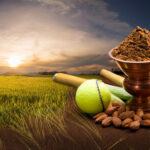 Can You Contact Support Using Laser247 Com Whatsapp Number