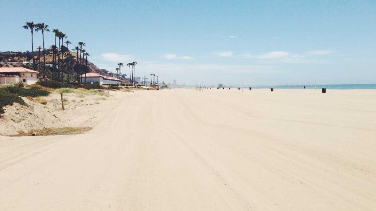 Why Is 99Exch Desktop Mode Recommended For Trading Odds?